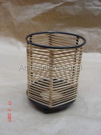 C.Std.Iron-9.cane.jpg